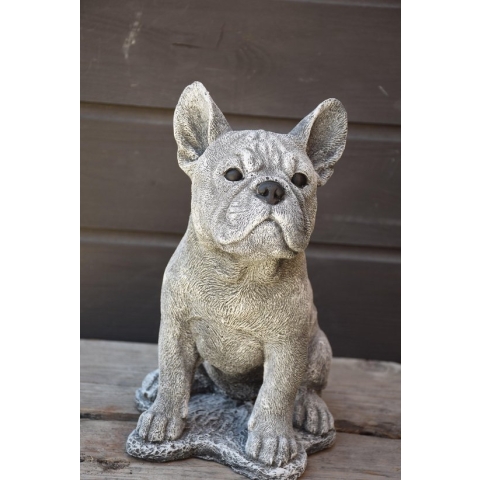 Franse Bulldog, Frenchie