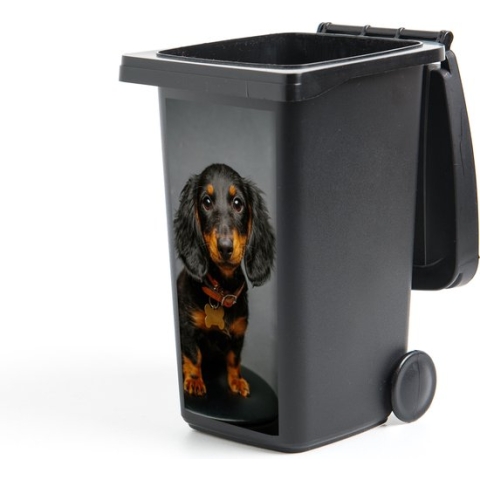 Container sticker Studio foto van teckel puppy - 38x80 cm - Kliko sticker