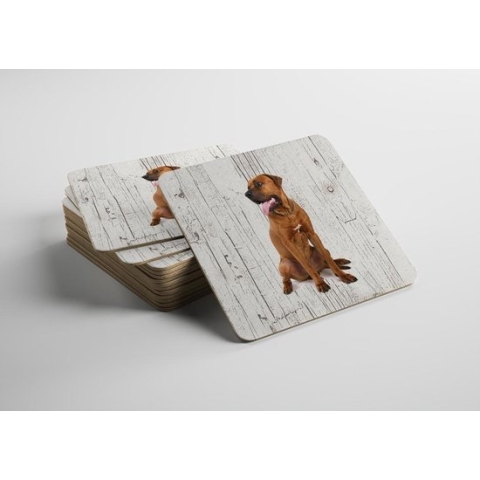 Hond Tosa | Houten Onderzetters 6 Stuks