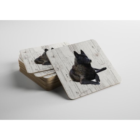 Hond Noorse Elandhond | Houten Onderzetters 6 Stuks