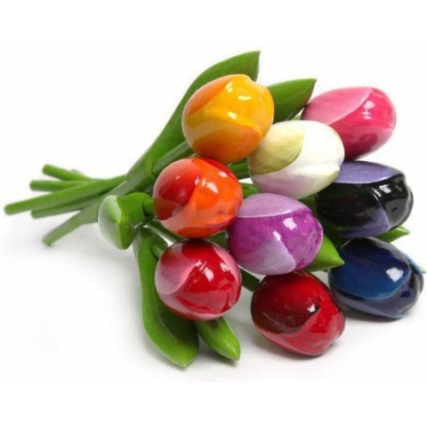Tulpenboeket - 9 stuks - Nijhuis - gekleurd - 20 cm