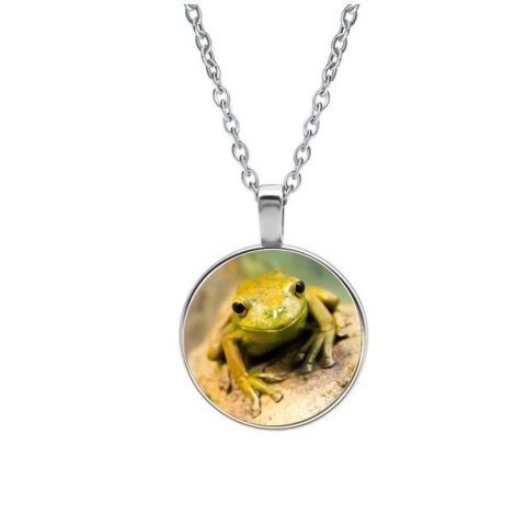 Ketting Glas - Kikker