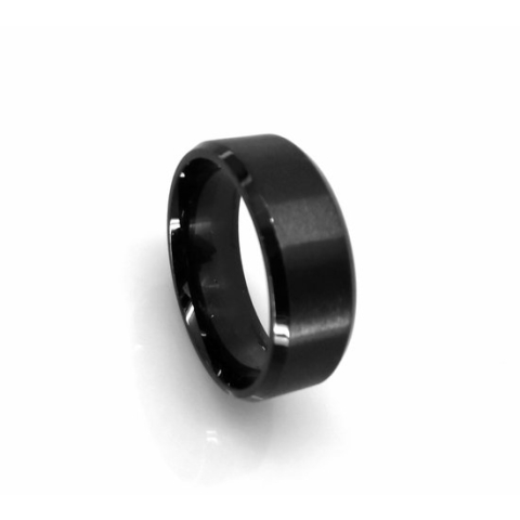 Titanium – RVS - Zwart – ring - maat 17 gepolijst met mat glad uitvoering.