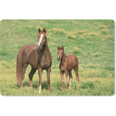 Bureau onderlegger - Muismat - Bureau mat - Paarden - Gras - Bruin - 60x40 cm