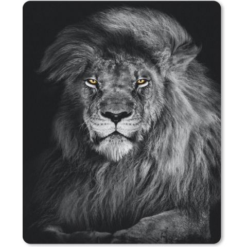 Muismat - Mousepad - Leeuw - Ogen - Oranje - Zwart wit - Dieren - Portret - 19x23 cm - Muismatten