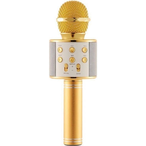 Karaoke Microfoon - Draadloos - Bluetooth Verbinding - Goud - Voor de gezelligste feestjes