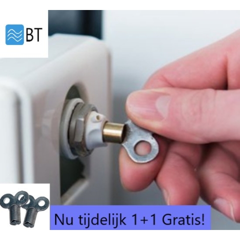 Installateurs Ontluchtingssleutel Voor Radiator - 5,2 x 5,2 mm - 2 Sleutels