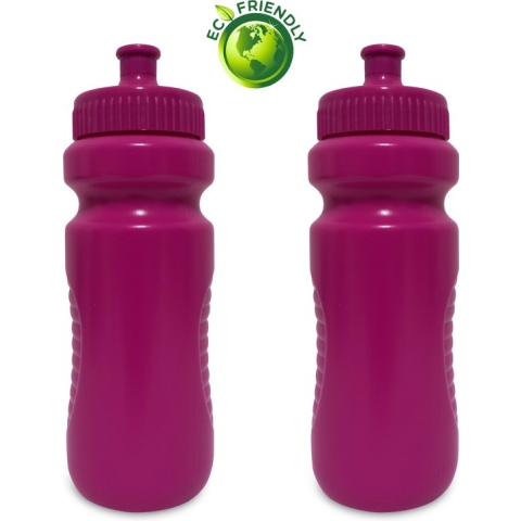 Drinkfles dames Roze 700ml x2 - Drinkbussen/waterflessen - Kinderen Volwassenen