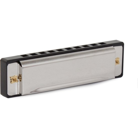 Premium Mondharmonica – Harmonica C majeur - Voor Volwassenen & Kinderen – Met Luxe Bewaardoos – Metaal