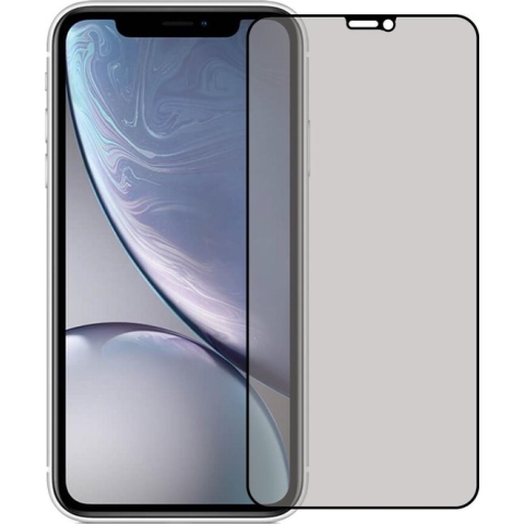 iPhone X/Xs Privacy Screenprotector Glas Tempered Glass Full Screen