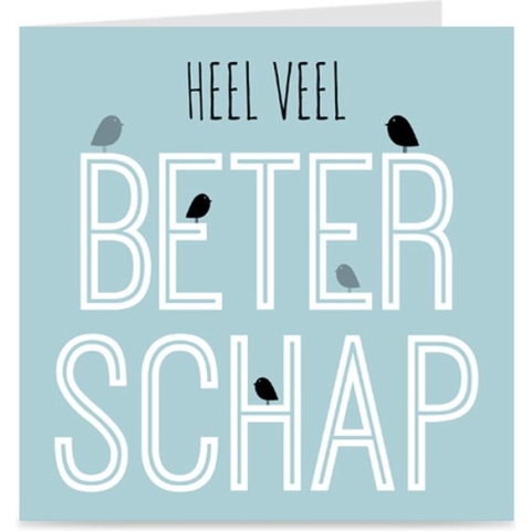 HEEL VEEL BETERSCHAP | kaart / wenskaart met envelop | vogeltjes
