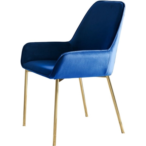 Eetkamerstoel Fiona Blauw - Set van 2