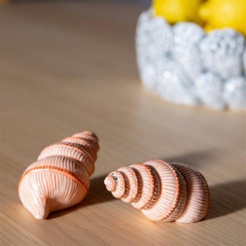 &Klevering - Schelp zout- en peperstel - Peper en zout stelletjes