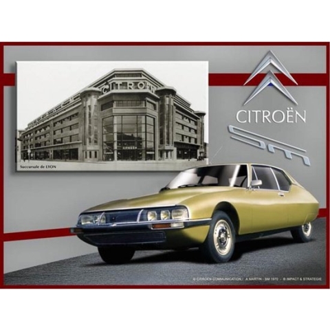 Metalen Bord 30x40 Citroen SM Jaune