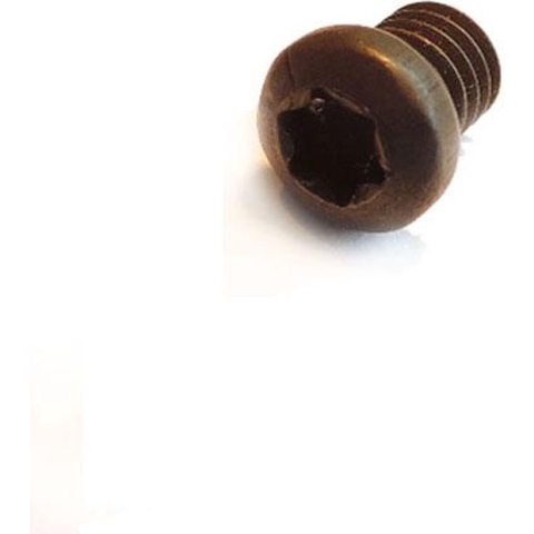 Torx boutje M4 x 4 x 6,2 mm.