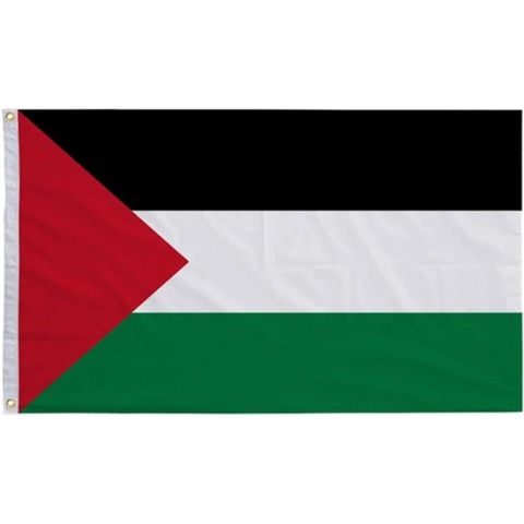 Palestijnse vlag - Palestina - 90 x 150 cm