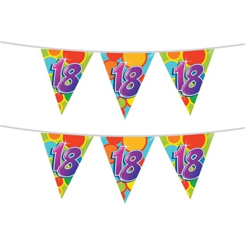 Haza Vlaggetjes 18 jaar - leeftijd verjaardag - 2x stuks - plastic 10m