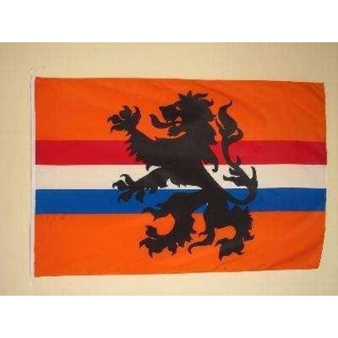 Hup Holland Hup Oranje vlag 100 x 150 cm