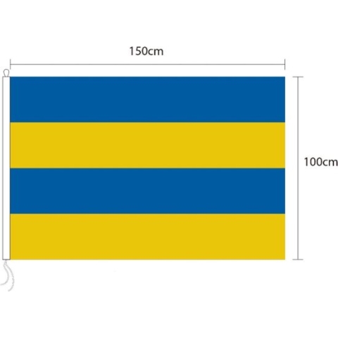 Vlag van Leeuwarden 100 x 150cm