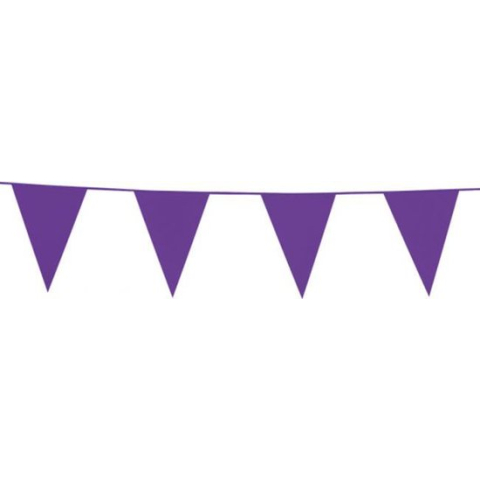 Vlaggenlijn Paars, 10 meter, Buiten Kwaliteit, Verjaardag, Themafeest