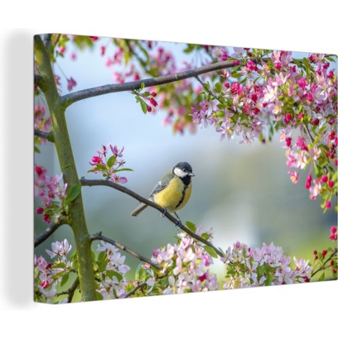 Canvas Schilderij Vogel - Boom - Bloesem - 150x100 cm - Wanddecoratie