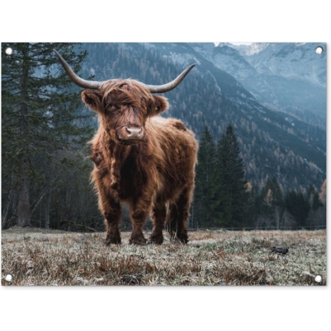 Tuinposters buiten Schotse hooglander - Berg - Landschap - Bomen - Koe - Natuur - 90x60 cm