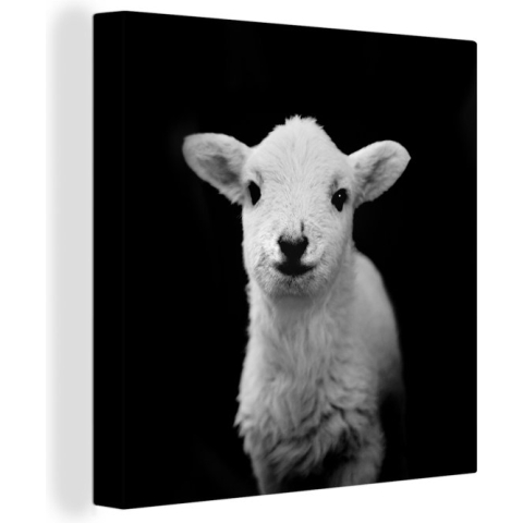 Canvas Schilderij Lam - Schaduw - Schaap - 20x20 cm - Wanddecoratie