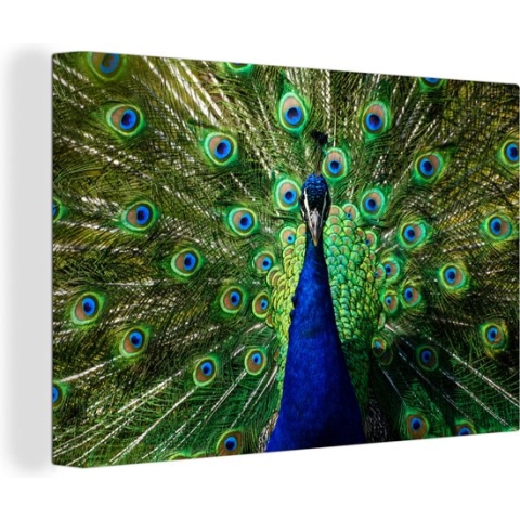 Canvas Schilderij Pauw - Veren - Ogen - 90x60 cm - Wanddecoratie
