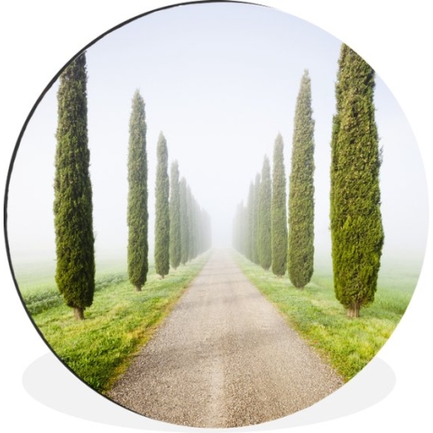WallCircle - Wandcirkel - Muurcirkel - Boom - Mist - Toscane - Cipres - Aluminium - Dibond - 140x140 cm - Binnen en Buiten