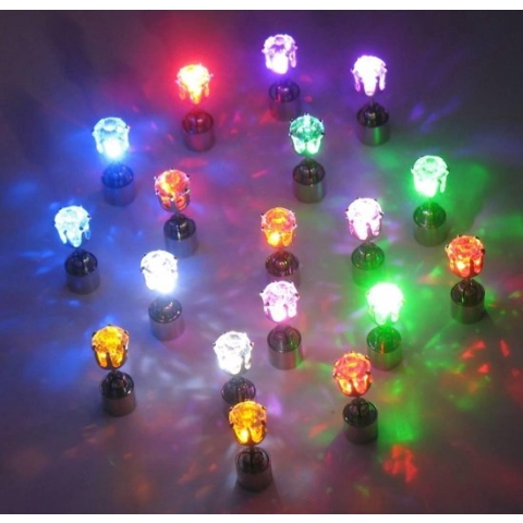 Dolphix - LED Oorbellen set RGB Multikleur - 2 stuks