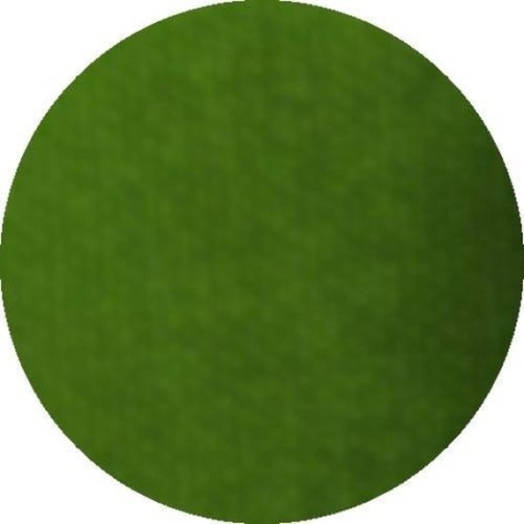 Aqua facepaint 45gr grasgroen