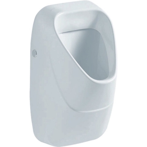 Geberit 300 urinoir met achterinlaat 34x34cm wit