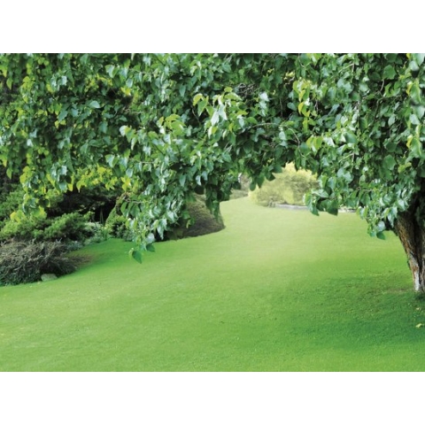Tuinplanten grond aarde 40 liter