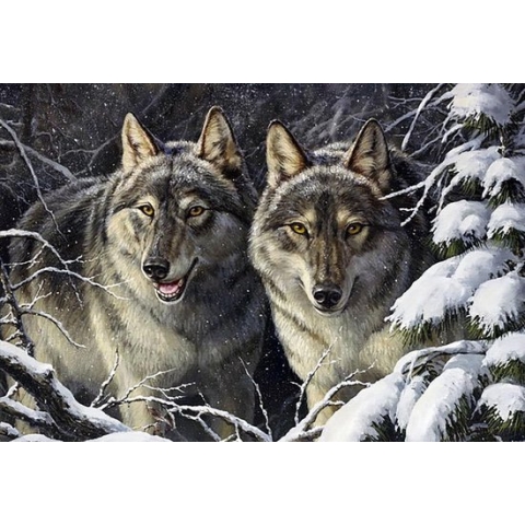 Diamond Painting Rascals /Wolven  70x48