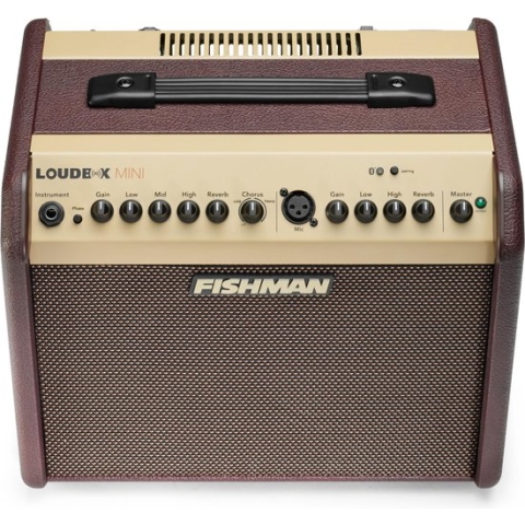 Gitaarversterker Fishman Loudbox mini LBT-500 met Bluetooth