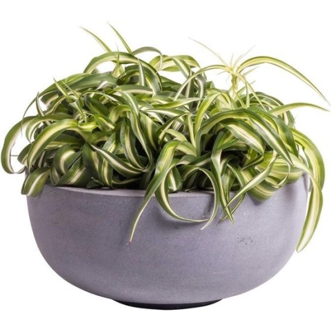 Bloempot Ducos mat zwart/grijs fiberstone Ø33 x H15 cm | Binnen & Buiten