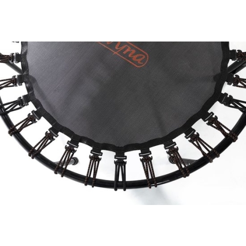 Fitness trampoline Avyna Pro-Line Ø120 met elastieken - Zwart