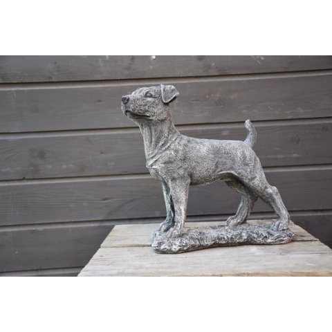 Jack Russell, beeld voor binnen of buiten