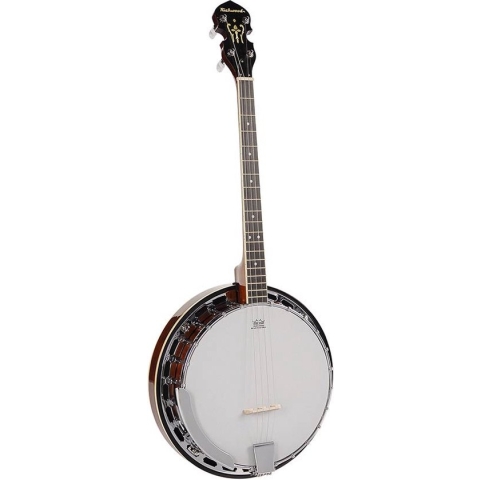 Banjo Tenor Richwood Master Series RMB-604 4-snarig