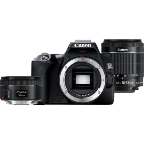 Canon EOS 250D + 18-55mm STM + 50mm f/1.8 STM
