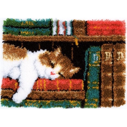 Knooptapijt kit Slapende kat in boekenrek - Vervaco - PN-0149896