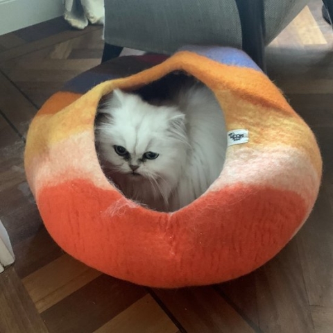 Cat cave kattenmand zonsondergang - SnoozyCave
