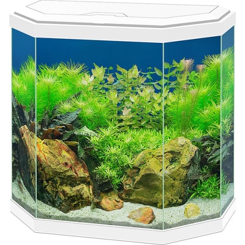 Ciano Aquarium Aqua 30 LED Wit
