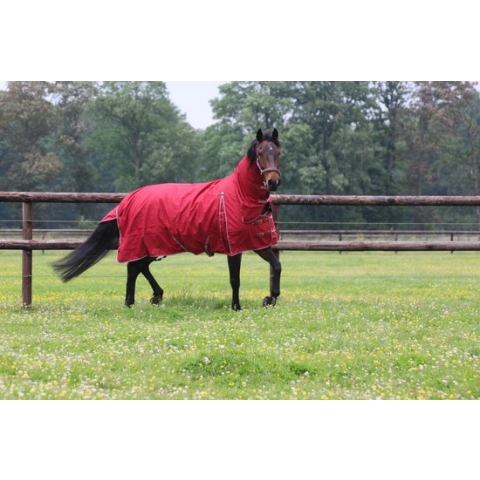 MHS Regendeken Dream 100 gram vaste hals 65/90 cm Bordeaux