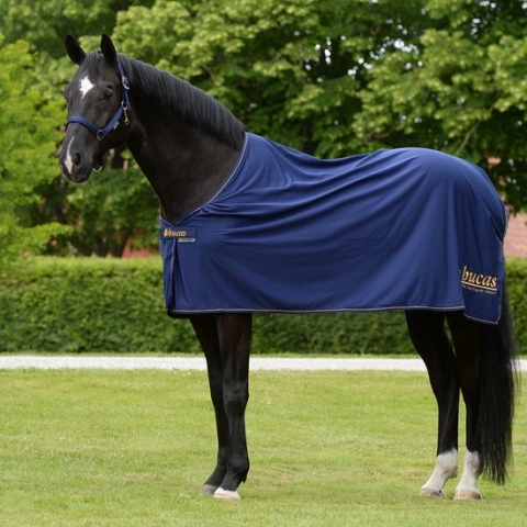 Bucas Deken Power Prize Cooler Donkerblauw-goud - 140/191