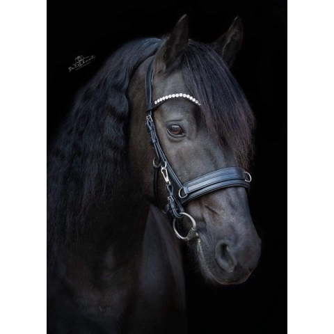 OnHorses Cavesson Anatomic Ultra Bridle (Kaptoom Hoofdstel) Cob