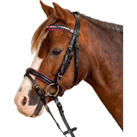 Pinky STAR Bridle | Pony
