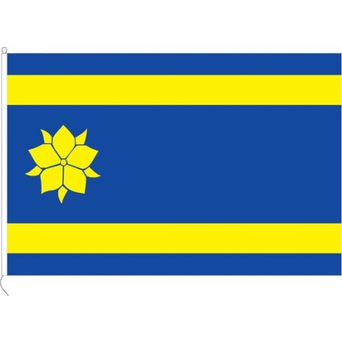 Vlag van Hattem 200 x 300cm
