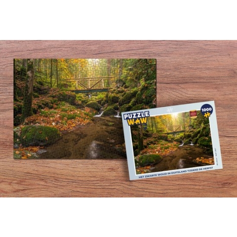 Puzzel Het Zwarte Woud in Duitsland tijdens de herfst - Legpuzzel - Puzzel 1000 stukjes volwassenen