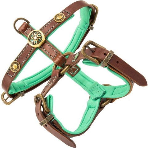 DWAM - Rock Hondentuigje - S -Tuigje - Hond - Leer- Bruin/ Turquoise